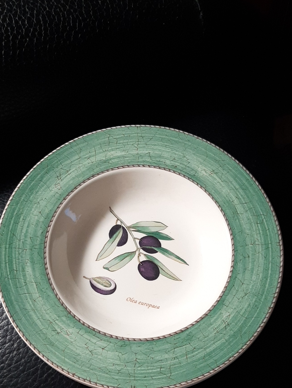 6 Wedgwood Green &White Olive Motif Pasta Soup Salad Bowls Sarahs Garden 9" 33cm